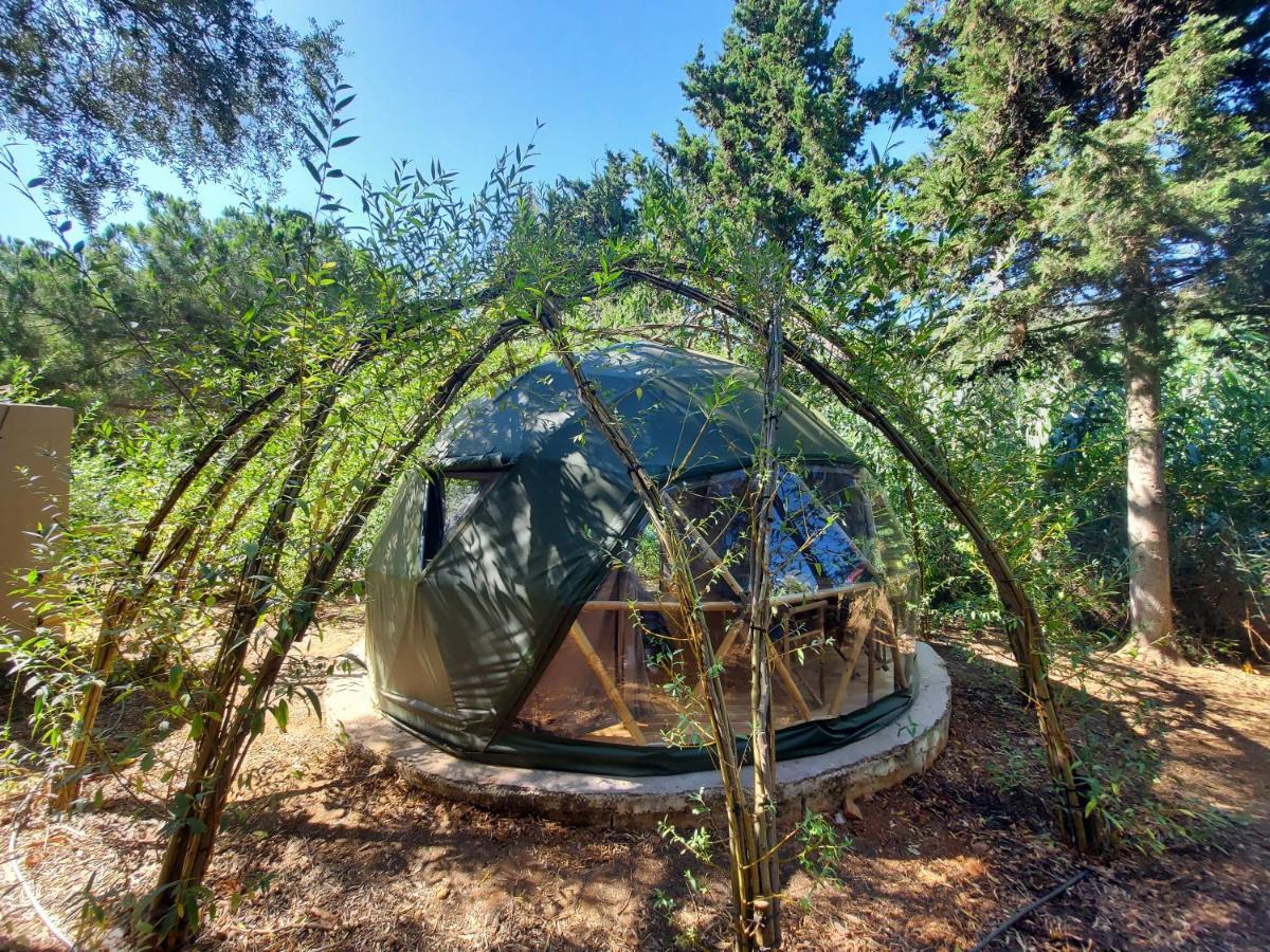 Salema Eco Camp - Sustainable Camping & Glamping Exteriör bild